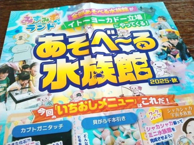 あそべる水族館チラシ