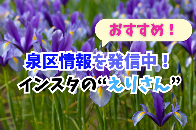 泉区情報のえりさん