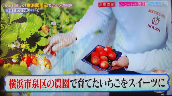 三ツ間農園